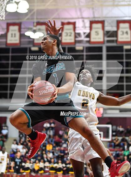 Thumbnail 1 in Sheldon vs. Bishop O'Dowd (CIF NorCal Regional Open Division Final) photogallery.