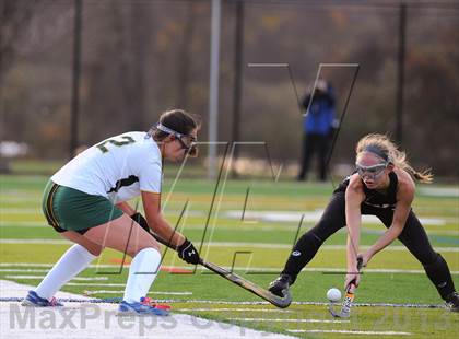 Thumbnail 1 in Lakeland vs Rye (Section 1 Class B Final) photogallery.