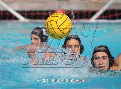 Thumbnail 1 in Escondido @ El Camino photogallery.