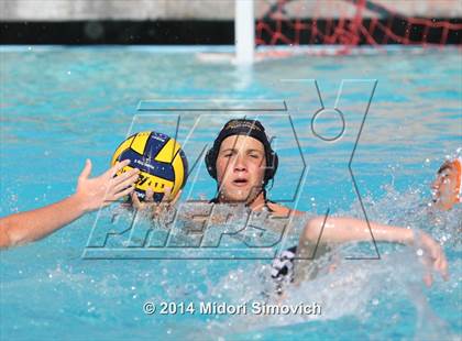 Thumbnail 3 in Escondido @ El Camino photogallery.