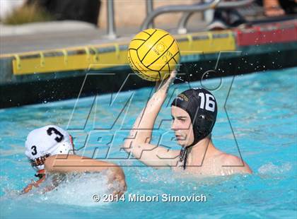 Thumbnail 3 in Escondido @ El Camino photogallery.