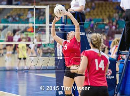 Thumbnail 2 in La Veta vs. Springfield (CHSAA 1A Playoff) photogallery.