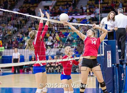 Thumbnail 1 in La Veta vs. Springfield (CHSAA 1A Playoff) photogallery.