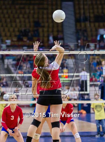 Thumbnail 1 in La Veta vs. Springfield (CHSAA 1A Playoff) photogallery.