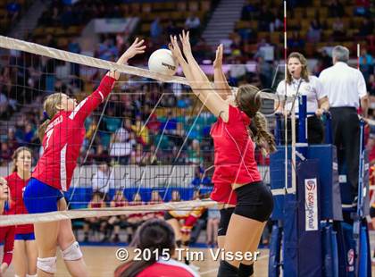 Thumbnail 1 in La Veta vs. Springfield (CHSAA 1A Playoff) photogallery.