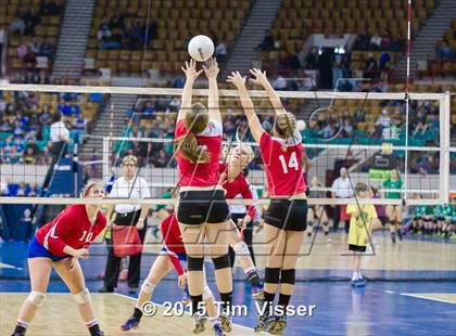 Thumbnail 1 in La Veta vs. Springfield (CHSAA 1A Playoff) photogallery.