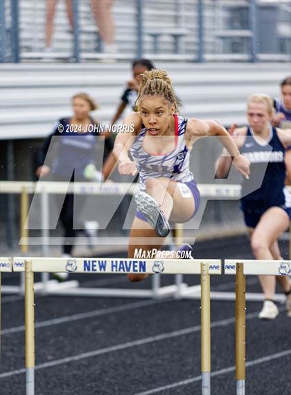 Thumbnail 1 in 2024 New Haven Relays  photogallery.