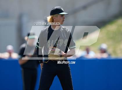 Thumbnail 2 in Falcon vs. Palisade (CHSAA 4A 2nd Round) photogallery.