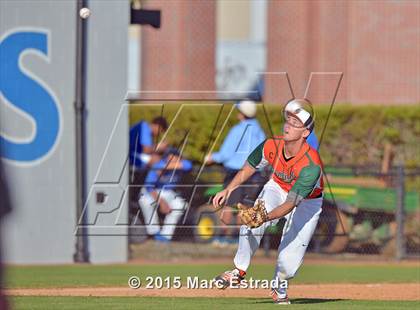 Thumbnail 1 in Seminole vs. Carrollwood Day  photogallery.