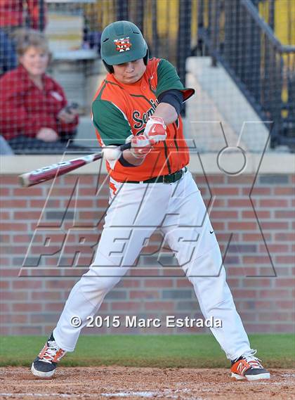 Thumbnail 1 in Seminole vs. Carrollwood Day  photogallery.