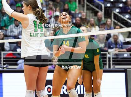 Thumbnail 1 in Clifton vs. Boyd (UIL 3A D2 Volleyball Final) photogallery.