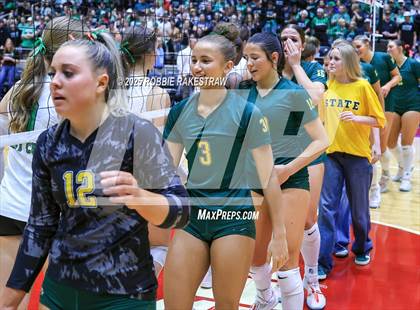 Thumbnail 1 in Clifton vs. Boyd (UIL 3A D2 Volleyball Final) photogallery.