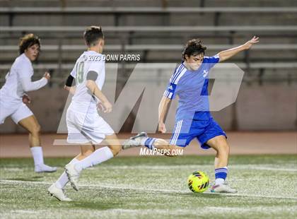 Thumbnail 3 in Chino @ Damien photogallery.