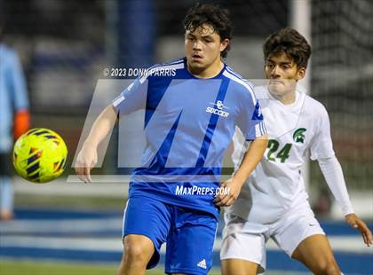 Thumbnail 2 in Chino @ Damien photogallery.