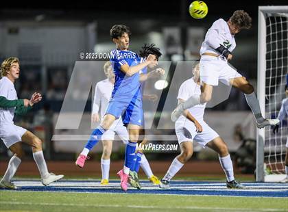 Thumbnail 1 in Chino @ Damien photogallery.