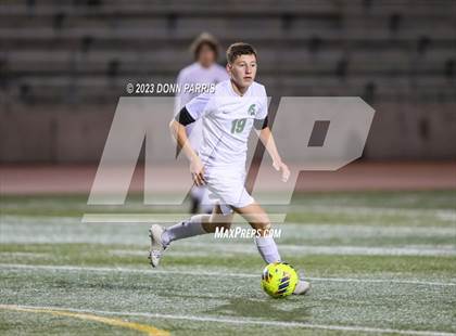 Thumbnail 1 in Chino @ Damien photogallery.