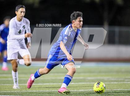 Thumbnail 1 in Chino @ Damien photogallery.