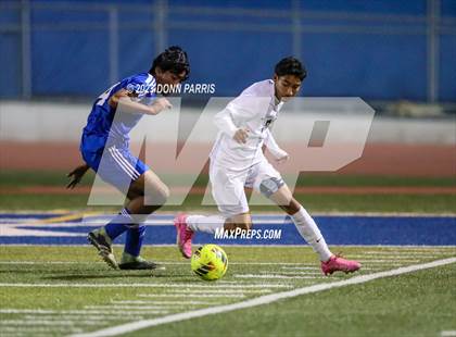 Thumbnail 2 in Chino @ Damien photogallery.