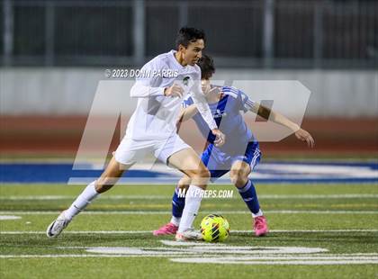 Thumbnail 2 in Chino @ Damien photogallery.
