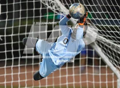 Thumbnail 2 in Chino @ Damien photogallery.