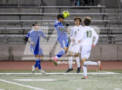 Thumbnail 2 in Chino @ Damien photogallery.