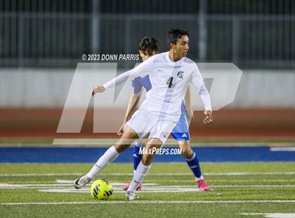 Thumbnail 1 in Chino @ Damien photogallery.