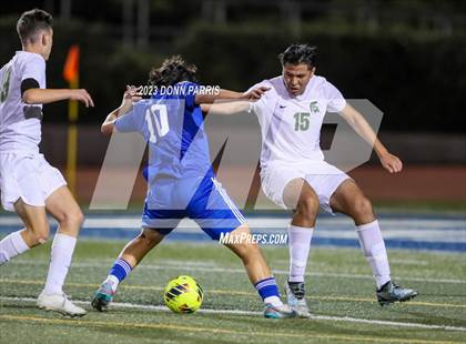 Thumbnail 1 in Chino @ Damien photogallery.
