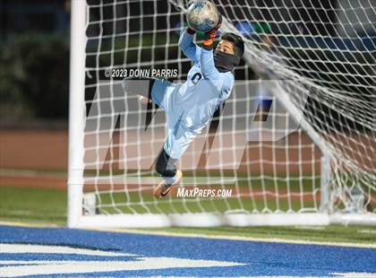 Thumbnail 1 in Chino @ Damien photogallery.