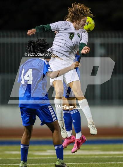 Thumbnail 3 in Chino @ Damien photogallery.