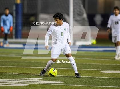 Thumbnail 2 in Chino @ Damien photogallery.