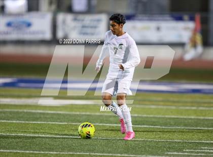 Thumbnail 3 in Chino @ Damien photogallery.