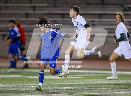 Thumbnail 1 in Chino @ Damien photogallery.