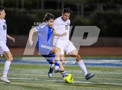 Thumbnail 3 in Chino @ Damien photogallery.