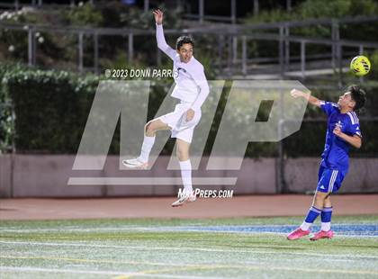 Thumbnail 2 in Chino @ Damien photogallery.