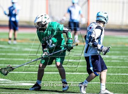 Thumbnail 1 in McKinney vs. Carroll photogallery.