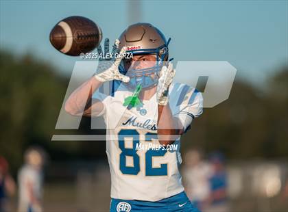 Thumbnail 3 in Alamo Heights @ Victoria West photogallery.