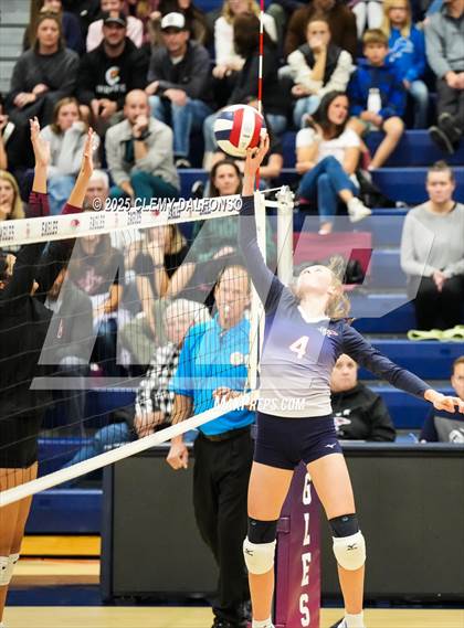 Thumbnail 3 in JV: Chatfield @ Dakota Ridge photogallery.