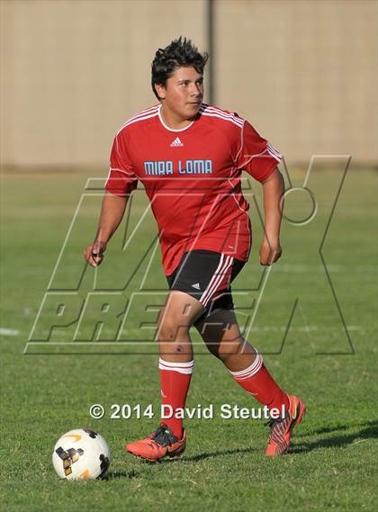 Thumbnail 1 in Mira Loma @ Christian Brothers photogallery.