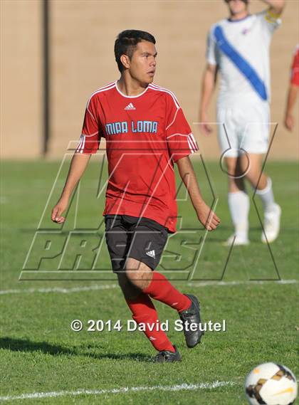 Thumbnail 3 in Mira Loma @ Christian Brothers photogallery.