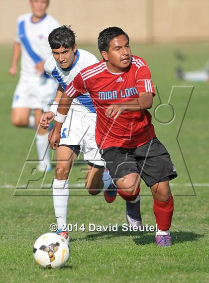 Thumbnail 1 in Mira Loma @ Christian Brothers photogallery.