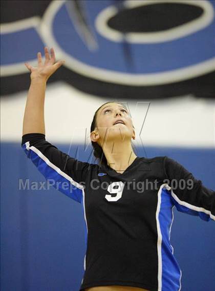 Thumbnail 3 in Ponderosa @ Highlands Ranch photogallery.