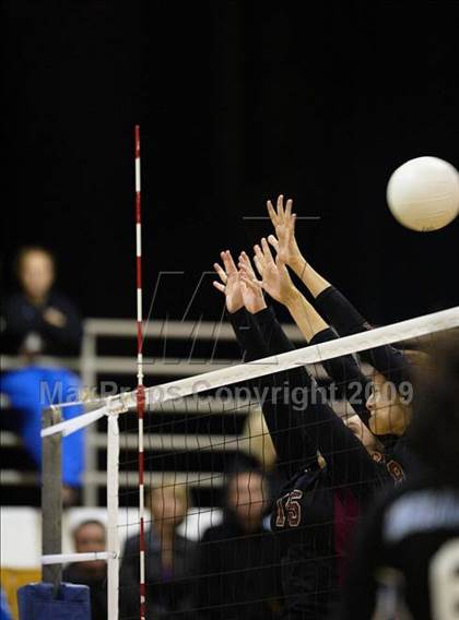 Thumbnail 3 in Ponderosa @ Highlands Ranch photogallery.