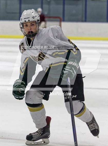 Thumbnail 3 in Williamsville North vs. St. Joseph's Collegiate Institute photogallery.