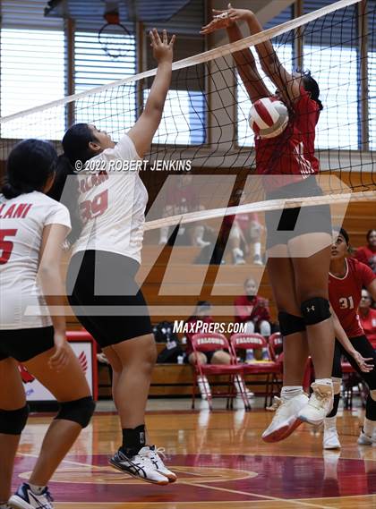 Thumbnail 2 in Kahuku @ Kalani photogallery.