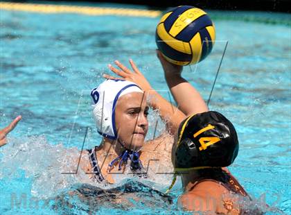 Thumbnail 1 in Los Altos @ St. Francis (St. Francis Invitational) photogallery.