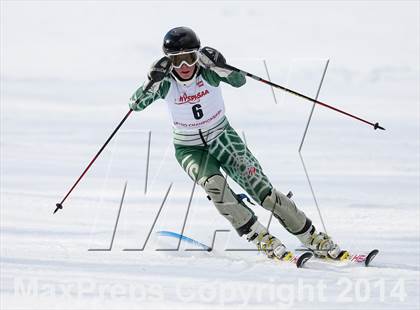 Thumbnail 1 in NYSPHSAA Alpine Championships (Slalom - 2nd Run) photogallery.