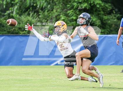 Thumbnail 2 in DeSoto Central vs. Lewisburg (U of Memphis 7v7) photogallery.