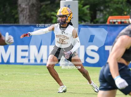 Thumbnail 3 in DeSoto Central vs. Lewisburg (U of Memphis 7v7) photogallery.
