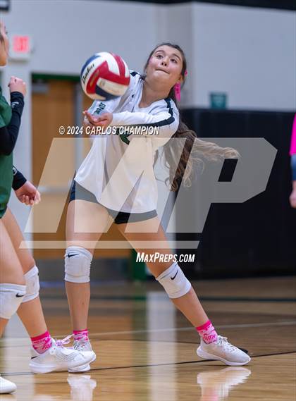 Thumbnail 3 in Hendrickson @ Pflugerville Connally photogallery.
