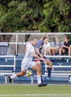 Photo from the gallery "Warde @ Wilton"